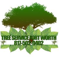 Tree Service Fort Worth image 4